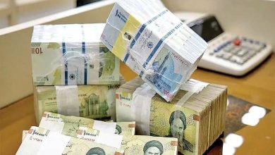 درآمد ۸۱۸ میلیارد تومانی از کاشت این گیاه / امتحان کنید 