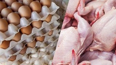 آخرین وضعیت کالاهای اساسی در بازار / قیمت گوشت، مرغ و تخم‌مرغ اعلام شد