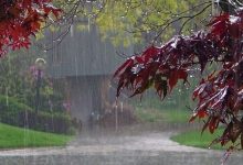 سامانه بارشی تازه در راه کشور / بارش و باد شدید چند استان را در بر می‌گیرد