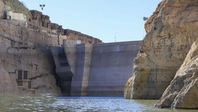 گزارش وضعیت سد تهران؛ ذخایر آبی چقدر است؟