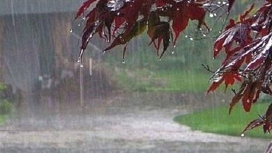 هشدار هواشناسی به تهران ها/ پایتخت در آستانه یک پایان هفته بارانی