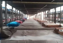 ثبت ۵۰ هزار مورد پذیرش در مددسرا‌های تهران