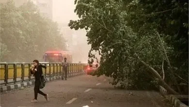 وزش باد شدید و احتمال طوفان گرد و خاک در تهران/ اعلام وضعیت قرمز در پایتخت