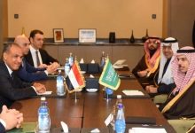 گفت‌وگوی وزیران خارجه مصر و عربستان درباره جنگ در منطقه