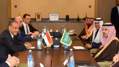 گفت‌وگوی وزیران خارجه مصر و عربستان درباره جنگ در منطقه