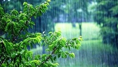 پیش بینی وضعیت جوی در روزهای میانی هفته آینده