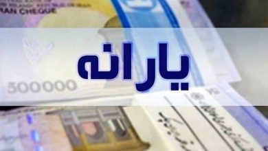 یارانه جدید در راه است/ کدام خانوار‌ها مشمول سبد غذایی رایگان می‌شوند؟