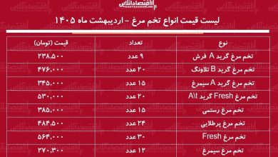 قیمت جدید تخم‌مرغ امروز ۲۰ اردیبهشت ۱۴۰۵ / هر شانه تخم‌مرغ چند شد؟ + جدول