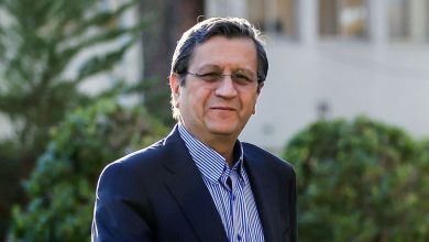 واکنش متفاوت همتی به افزایش نرخ دلار+ فیلم