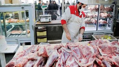 سیگنال مثبت دولت به بازار گوشت/ قیمت گوشت قرمز کاهشی می‌شود؟