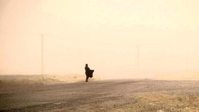 سرعت طوفان در این شهر ایران به ۱۲۲ کیلومتر رسید/ منتظر وزش باد شدید همراه با گرد و غبار باشید