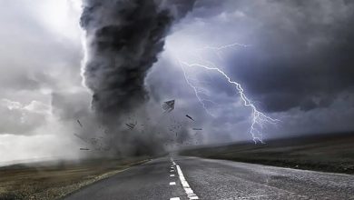 پرواز هولناک یک مرد به آسمان بر اثر وزش شدید باد! + فیلم