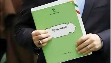 چگونه برخی مجموعه‌ها اعداد و ارقام بودجه را تغییر می‌دهند/ یک نماینده مجلس افشا کرد