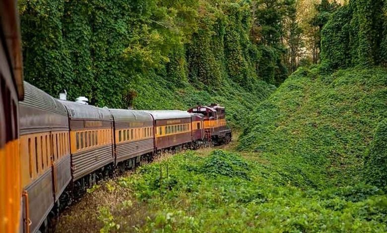 حادثه مرگبار در رشت ۲ فوتی برجا گذاشت حادثه مرگبار در رشت ۲ فوتی برجا گذاشت