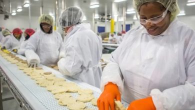 موج جدیدی از تورم مواد غذایی در راه است/ رسانه کوبیسی لتر هشدار داد موج جدیدی از تورم مواد غذایی در راه است/ رسانه کوبیسی لتر هشدار داد