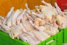 خبر مهم از بازار مرغ/ سرپرستان پیش از خرید مرغ بخوانند