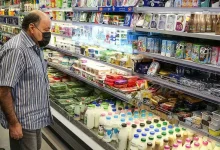 لبنیات در آستانه خروج از سبد خانوار/ هشدار مدیرعامل اتحادیه تعاونی‌های لبنی