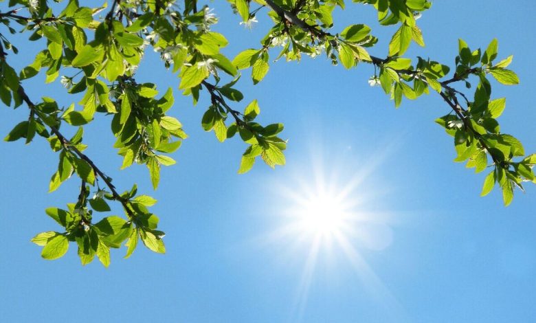 هواشناسی هشدار داد / جهش دما در شمال و تهران هواشناسی هشدار داد / جهش دما در شمال و تهران