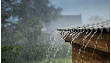 وضعیت هواشناسی امروز شنبه ۹ خرداد ۱۴۰۵ / این ۹ استان امروز منتظر بارش شدید باشند