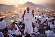 از عرفات تا قربان؛ روایت انسان در مسیر تسلیم
