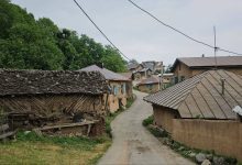 «شانه تراش» در مسیر جهانی شدن