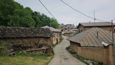 «شانه تراش» در مسیر جهانی شدن