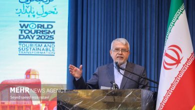 صالحی امیری: ۱.۲ میلیون گردشگر سلامت در سال ۱۴۰۴از ایران خدمات گرفتند - خبرگزاری مهر | اخبار ایران و جهان