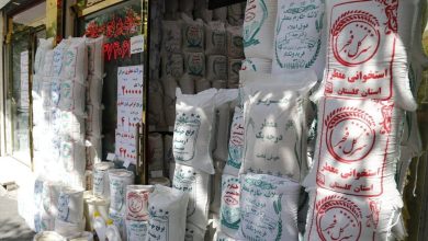 منتظر برنج ایرانی کیلویی ۷۰۰ هزار تومان باشیم؟/ پاسخ غافلگیرکننده رئیس اتحادیه