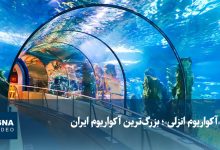 ویدیو/ «آکواریوم انزلی»؛ بزرگ‌ترین آکواریوم ایران