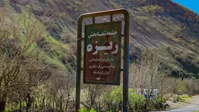 «چشمه ریزه» سامان‌ می‌گیرد