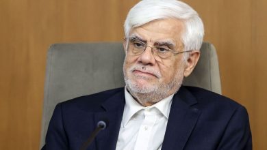 اظهار نظر جنجالی عارف درباره مذاکرات/ اختلاف میان مسئولان صحت دارد؟