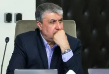 دو واحد نیروگاه اتمی بوشهر اکنون در حال احداث هستند