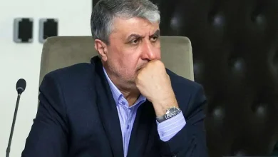 دو واحد نیروگاه اتمی بوشهر اکنون در حال احداث هستند دو واحد نیروگاه اتمی بوشهر اکنون در حال احداث هستند
