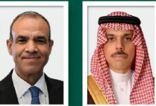 جزئیات گفت‌وگوی وزیران خارجه عربستان و مصر