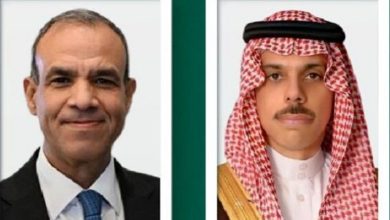 جزئیات گفت‌وگوی وزیران خارجه عربستان و مصر