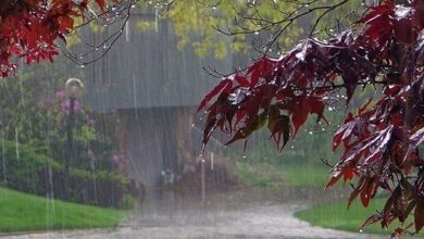 ورود سامانه بارشی جدید به کشور / کدام استان‌ها منتظر رگبار و رعدوبرق باشند؟