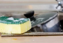 آیا اسکاچ آشپزخانه از سرویس بهداشتی هم آلوده‌تر است؟