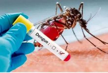 همه‌چیز درباره بیماری تب دنگی / این علائم را جدی بگیرید
