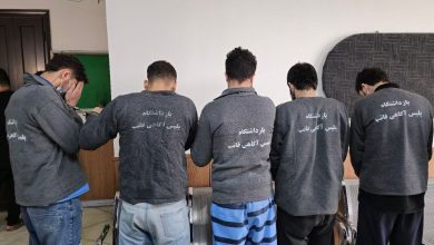 جزئیات بازداشت اوباش قمه‌کش در جنوب تهران+ فیلم