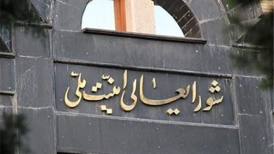 عبور کشتی‌های تجاری از تنگه هرمز به مدت ۶۰ روز رایگان شد