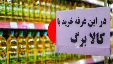 منابع جدید برای افزایش کالابرگ یافت شد؟ منابع جدید برای افزایش کالابرگ یافت شد؟