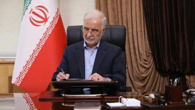 پیام ویژه اسلام‌آباد به تهران/ جزئیات سفر وزیر کشور پاکستان از زبان مومنی