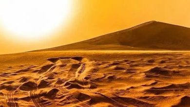 حمله گرمای ۵۰ درجه به شهر‌های ایران / دما در کدام استان‌ها رکورد زد؟