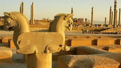اتفاقی عجیب در حریم تخت‌جمشید/ باید این میراث جهانی را نجات داد
