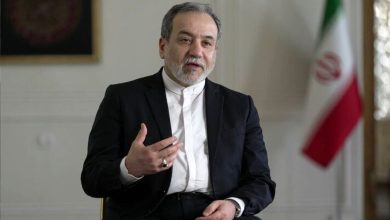 جزئیات دیدار سفیر ایران در گرجستان با عراقچی+ عکس
