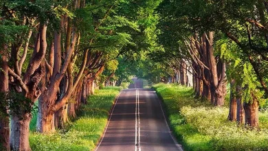 ارزیابی ظرفیت‌های «گیسوم» برای ورود به فهرست میراث جهانی
