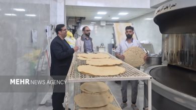 استقبال مهمانان مهدیشهر از نان سنگسری؛ کیفیت نان افزایش می‌یابد - خبرگزاری مهر | اخبار ایران و جهان