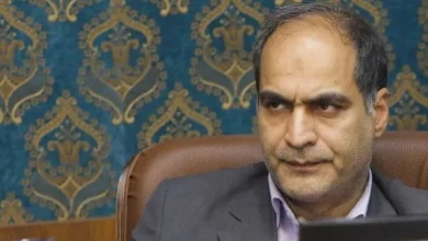اعطای نخستین گواهینامه‌های درجه هنری هنرمندان صنایع‌دستی و میراثداران تمدنی