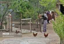 بوم‌گردی؛ از ایده گردشگری تا راهبرد تمدنی برای احیای روستا - خبرگزاری مهر | اخبار ایران و جهان