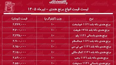 لیست قیمت انواع برنج هندی ۸ تیر ۱۴۰۵ | کیسه ۱۰ کیلویی برنج هندی چند شد؟ + جدول